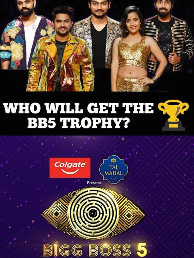 Bigg Boss 5 Telugu Winner, Top 5 Finalists